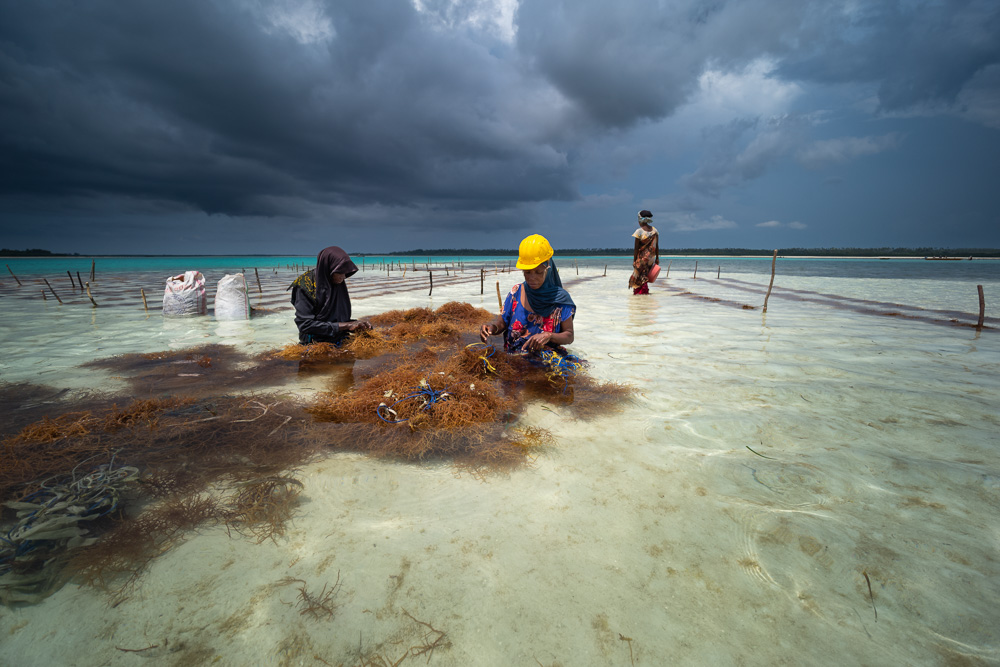 Platz 1 Michael Mayer